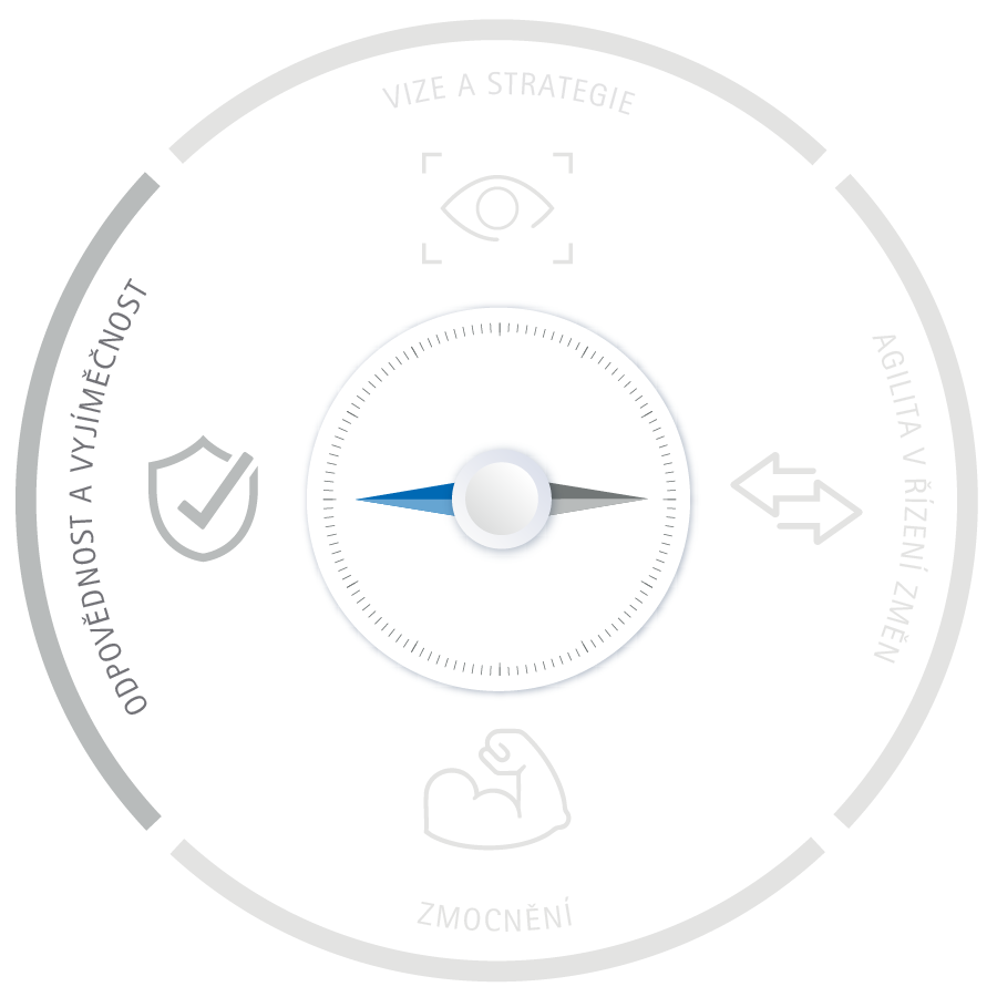 Accountability-and-Excellence_CZ